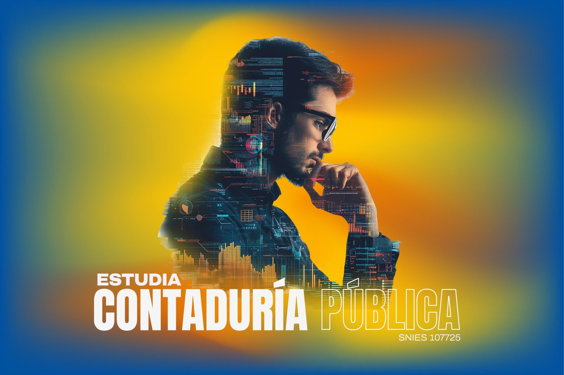 Contaduria Publica